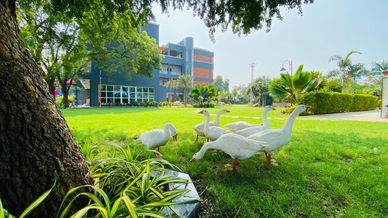 Krishna Riverside Resort Vasad Exteriör bild
